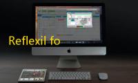 Reflexil for Reflector(DLL代码注入工具) 2.2 中文版